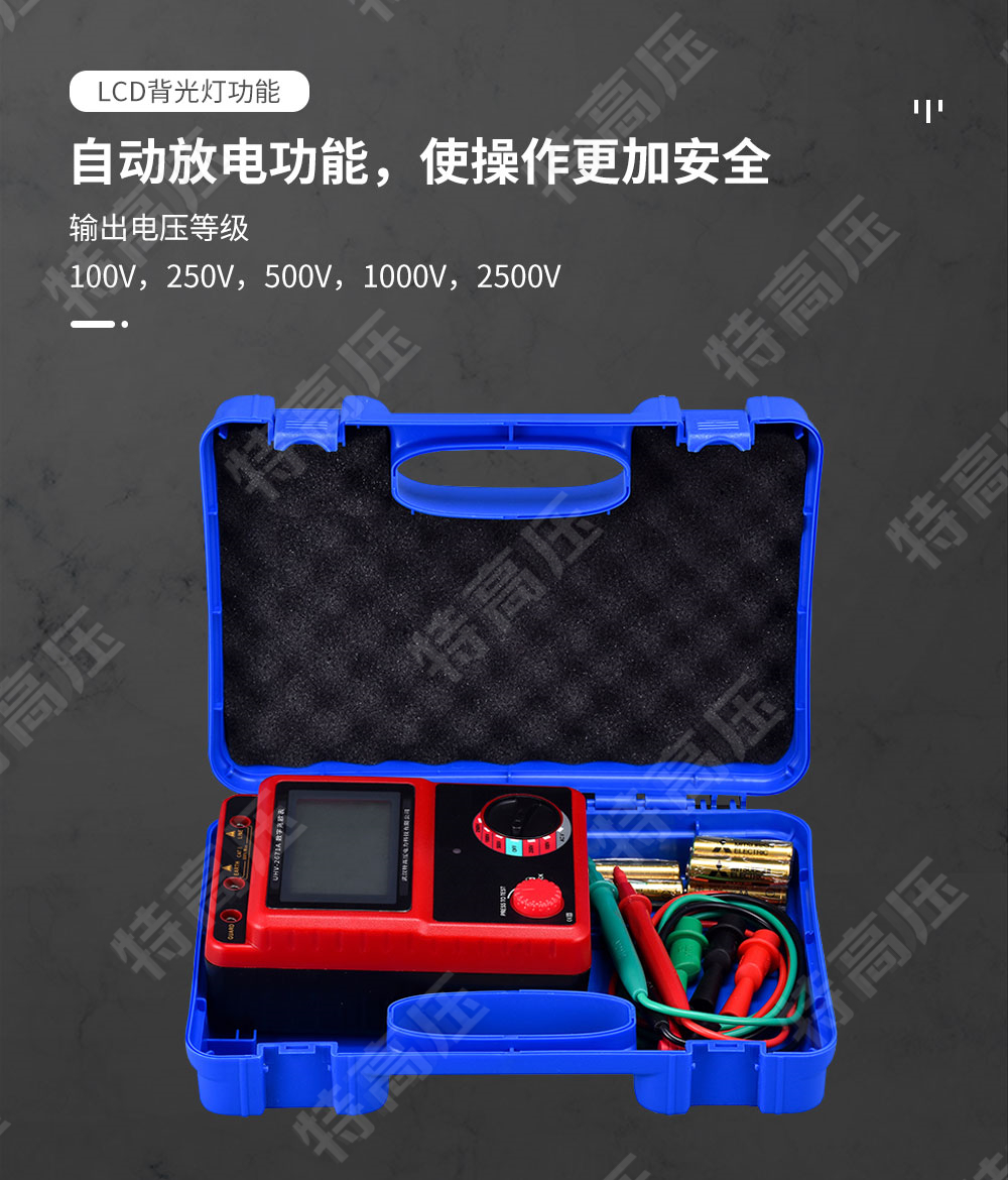 HT2671A 數(shù)字兆歐表(2500V)(圖3)