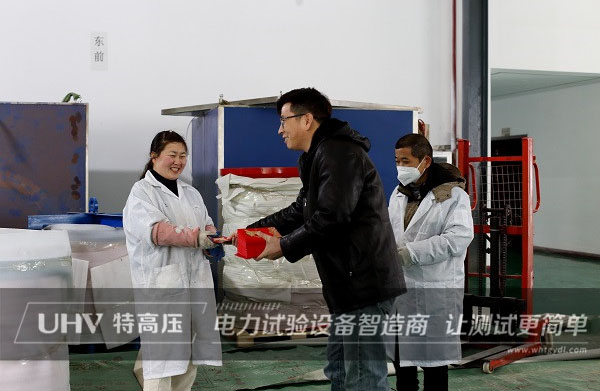 開業大吉！特高壓電力開啟全新征程(圖2)